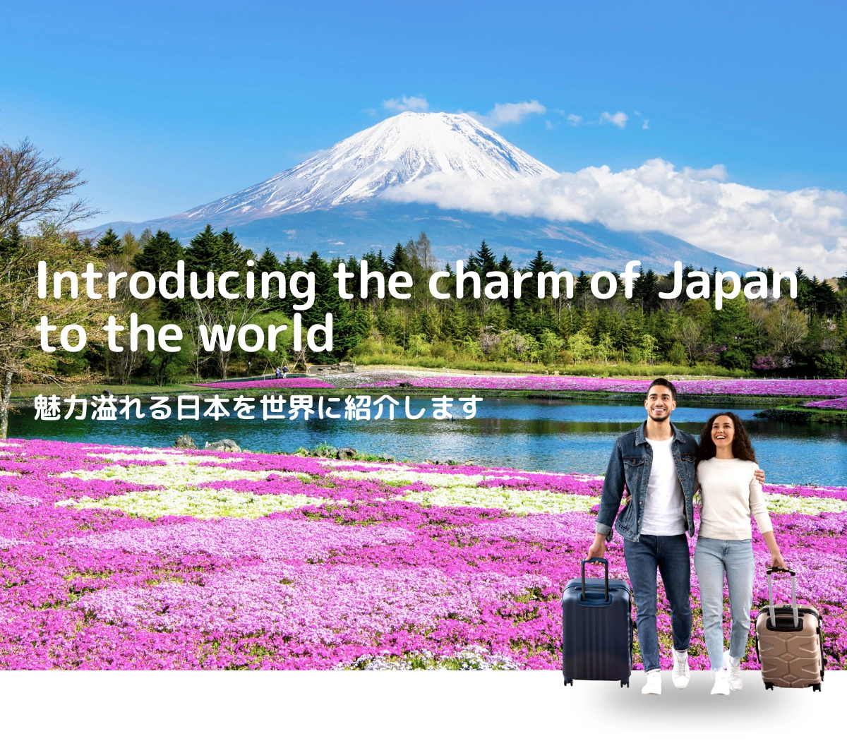山梨県　富士山と芝桜